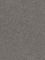 Load image into Gallery viewer, Dwellings CITARA II
