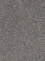 Load image into Gallery viewer, Dwellings LUSTRIO II
