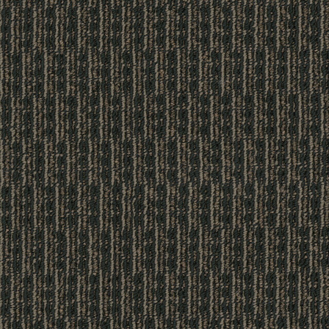 Pentz Commercial ROGUE