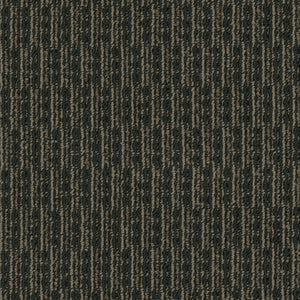 Pentz Commercial ROGUE