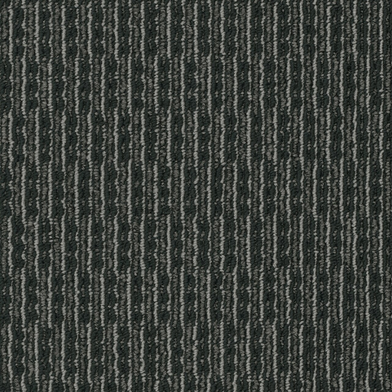 Pentz Commercial ROGUE