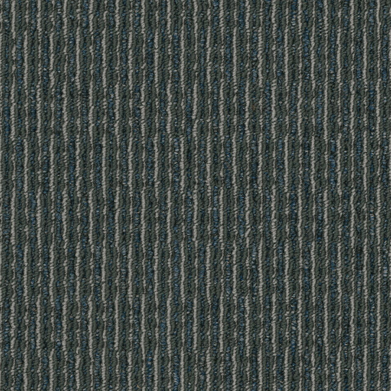 Pentz Commercial ROGUE