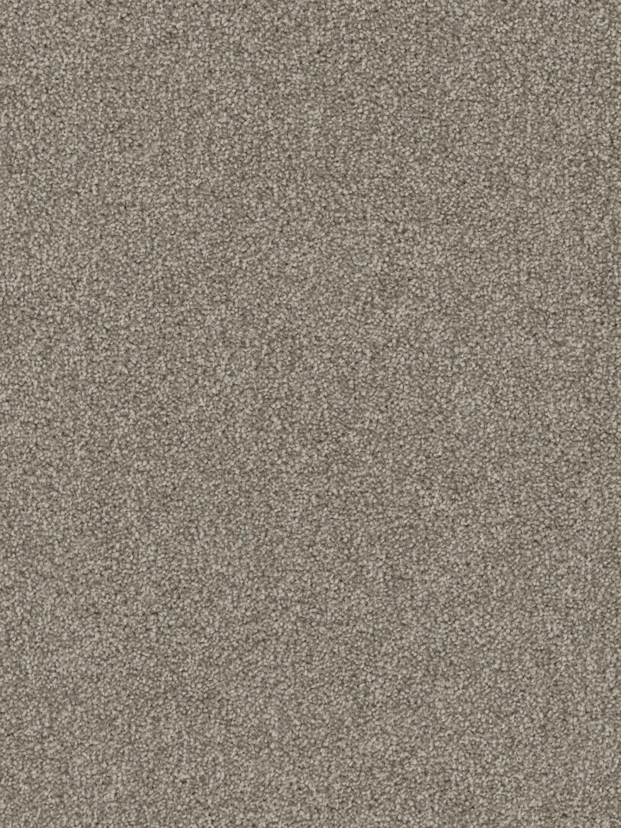 Pentz Commercial TERRAIN