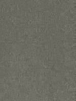 Load image into Gallery viewer, Pentz Commercial TERRAIN
