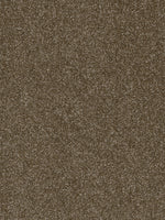 Load image into Gallery viewer, Pentz Commercial TERRAIN
