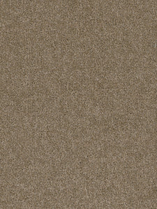 Pentz Commercial TERRAIN