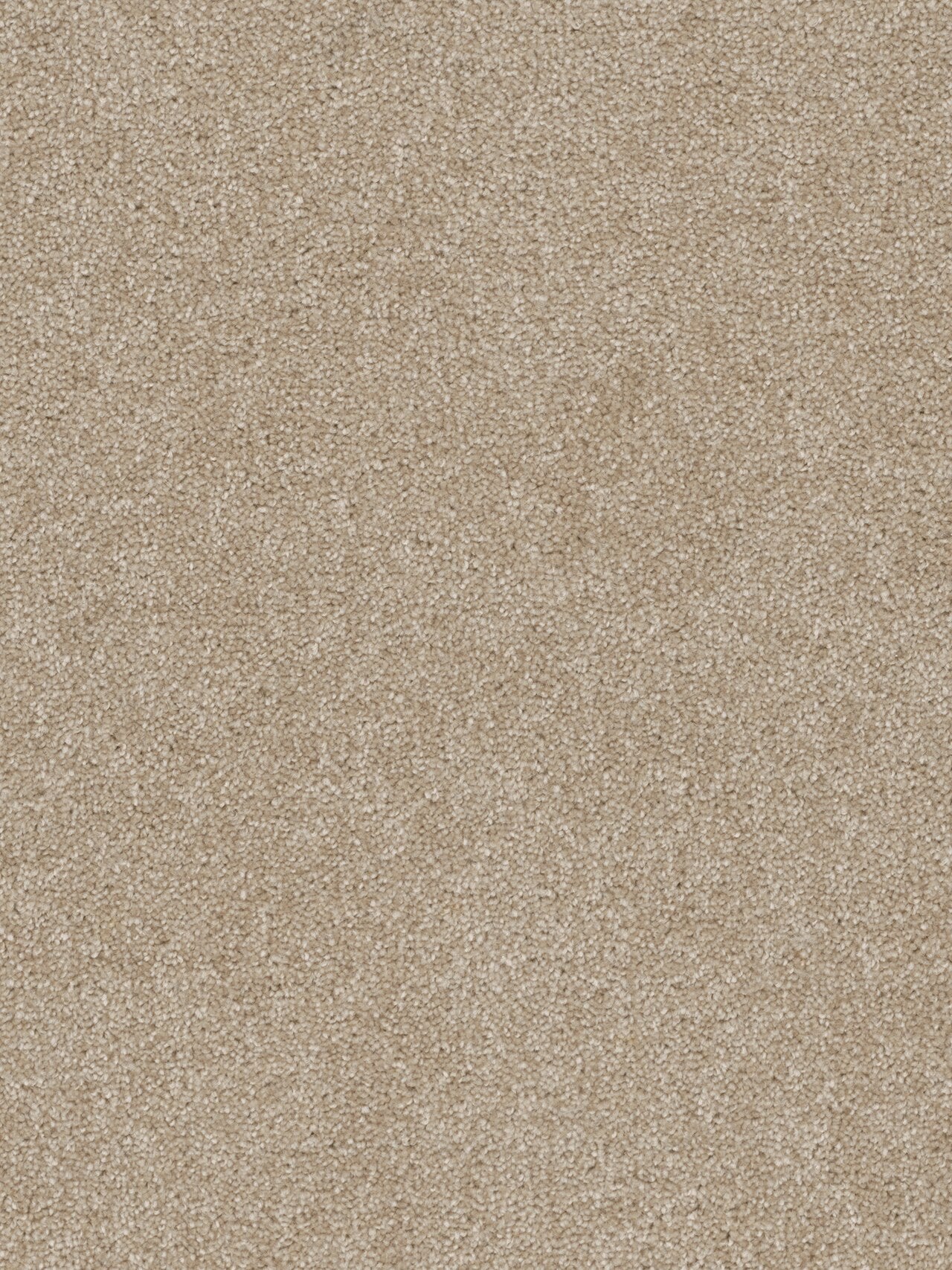 Pentz Commercial TERRAIN
