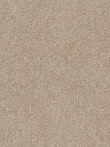 Pentz Commercial TERRAIN