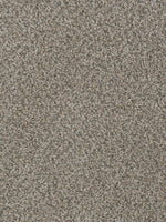 Load image into Gallery viewer, Dream Weaver SP250
