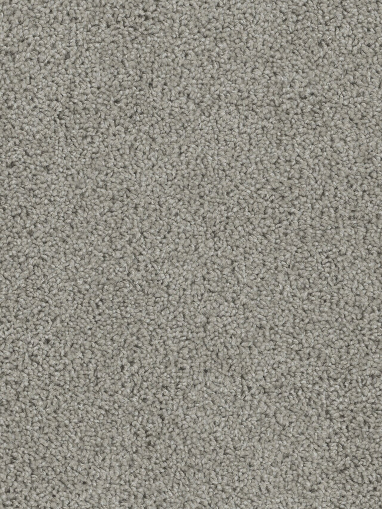 EF Multifamily MARVEL Dearborn Carpet