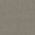 Load image into Gallery viewer, Dwellings CORONADO I
