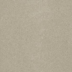 Load image into Gallery viewer, Dwellings CORONADO III
