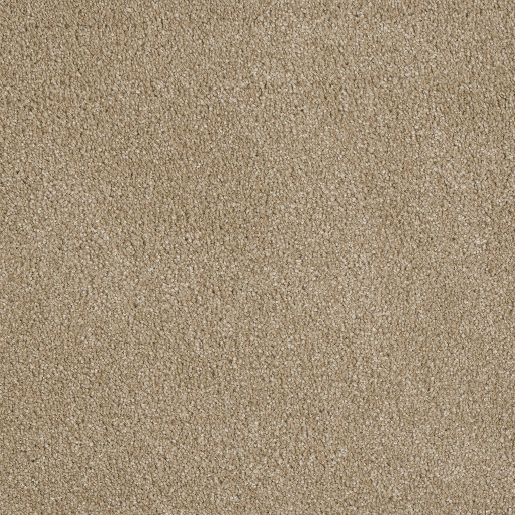 Dwellings PROFOUND II - Dearborn Carpet