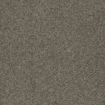 Load image into Gallery viewer, Dwellings PROFOUND III
