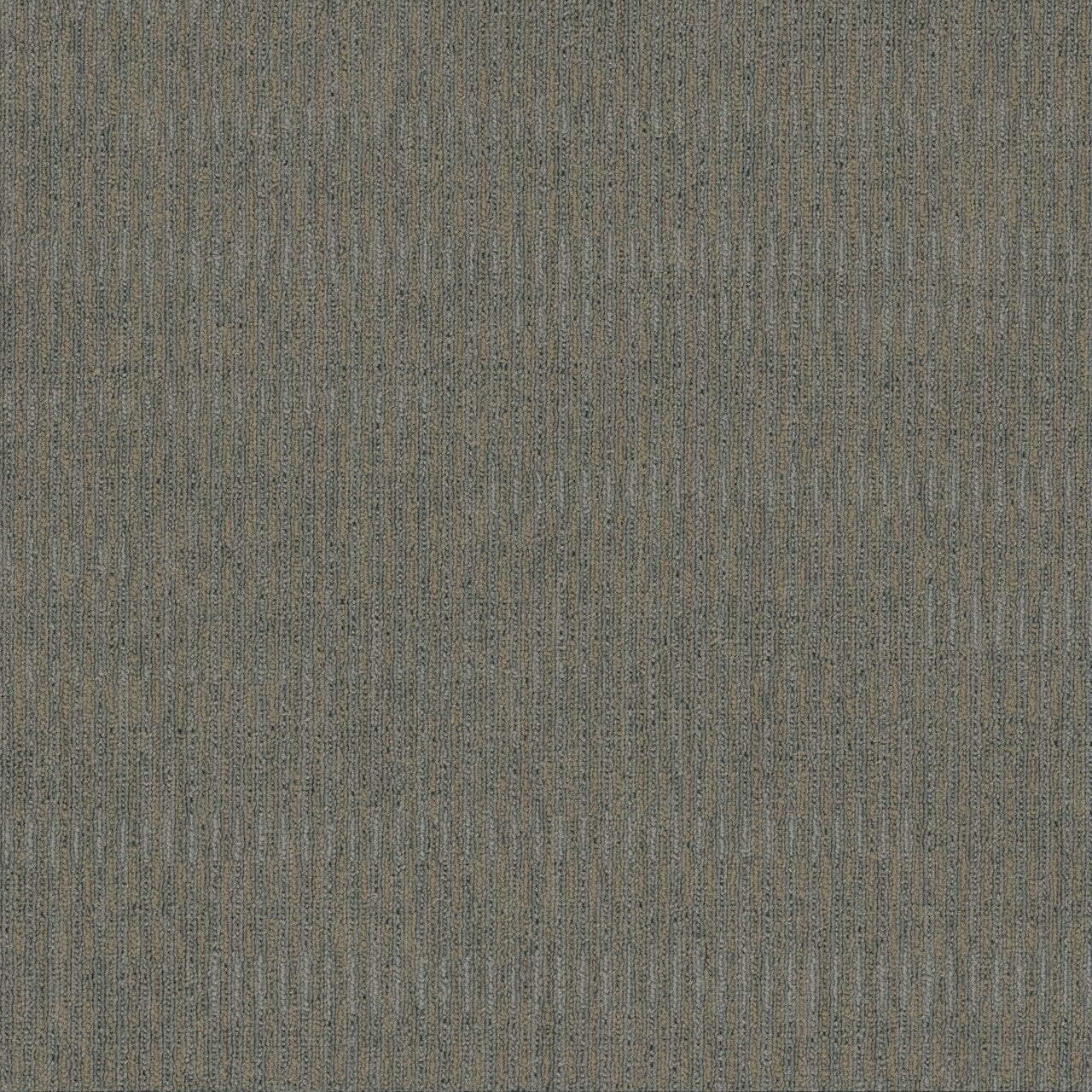 Pentz Commercial SIDEWINDER BROADLOOM