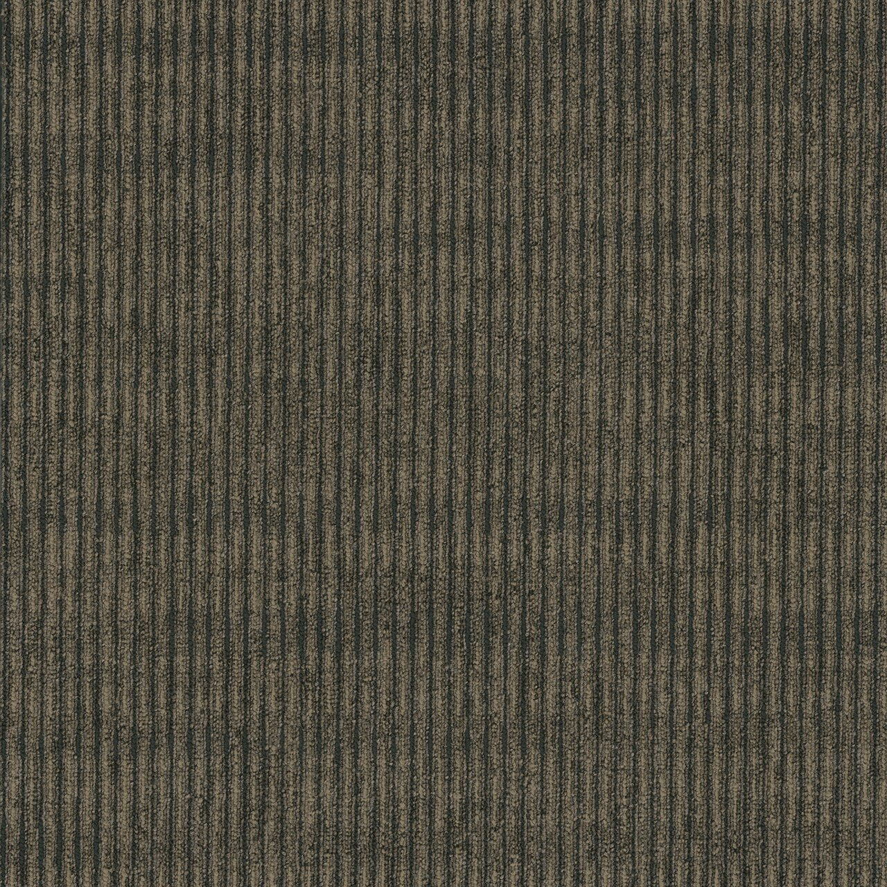 Pentz Commercial SIDEWINDER BROADLOOM