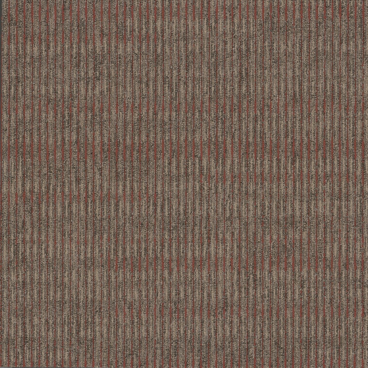 Pentz Commercial SIDEWINDER BROADLOOM