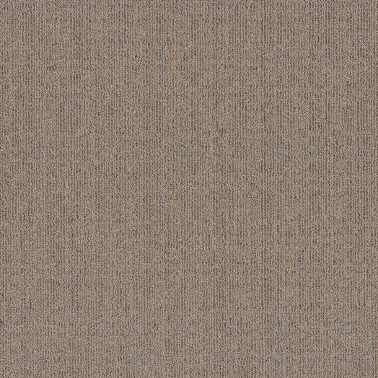 Pentz Commercial OASIS BROADLOOM