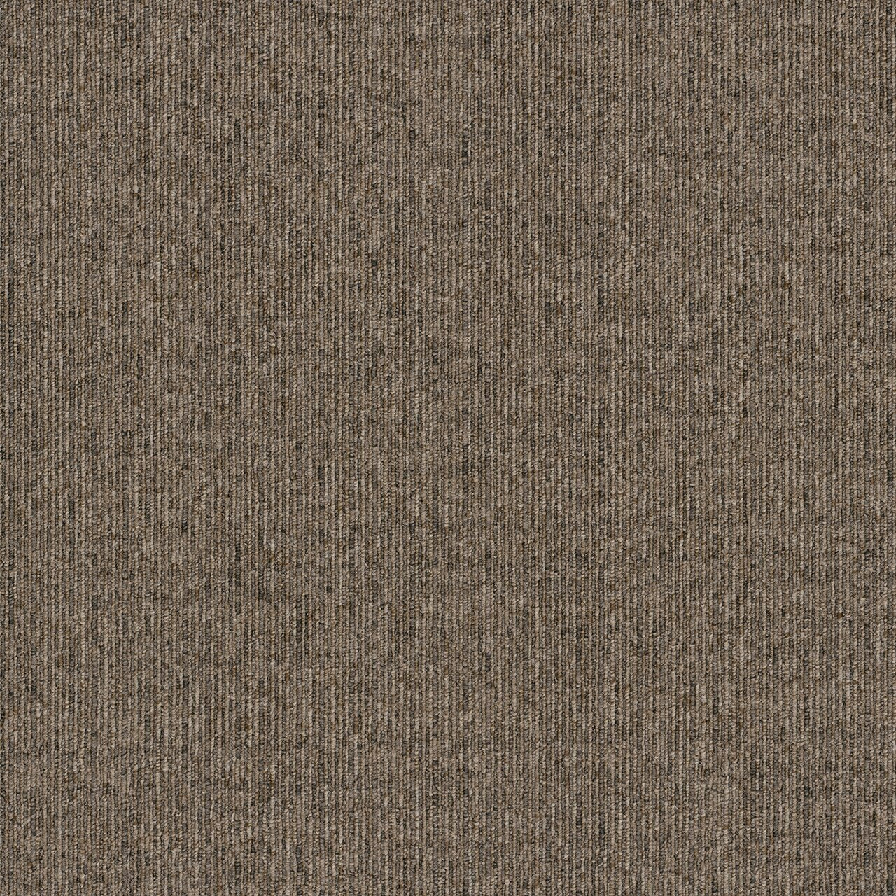 Pentz Commercial OASIS BROADLOOM