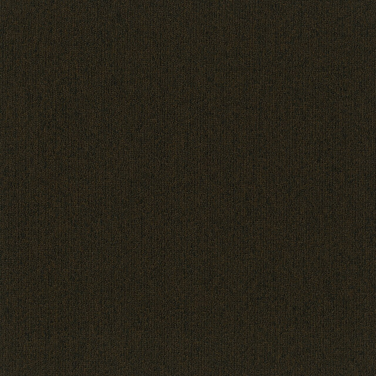 Pentz Commercial UPLINK 20 BROADLOOM