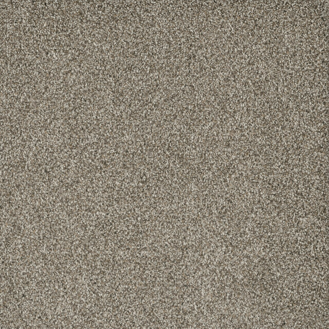 Dream Weaver POSH I