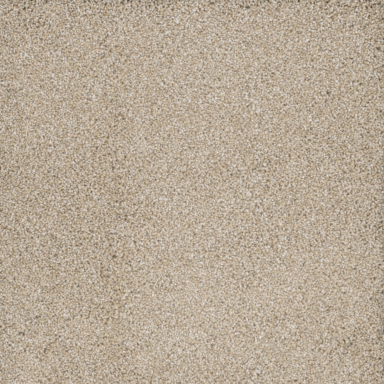 Dream Weaver POSH I