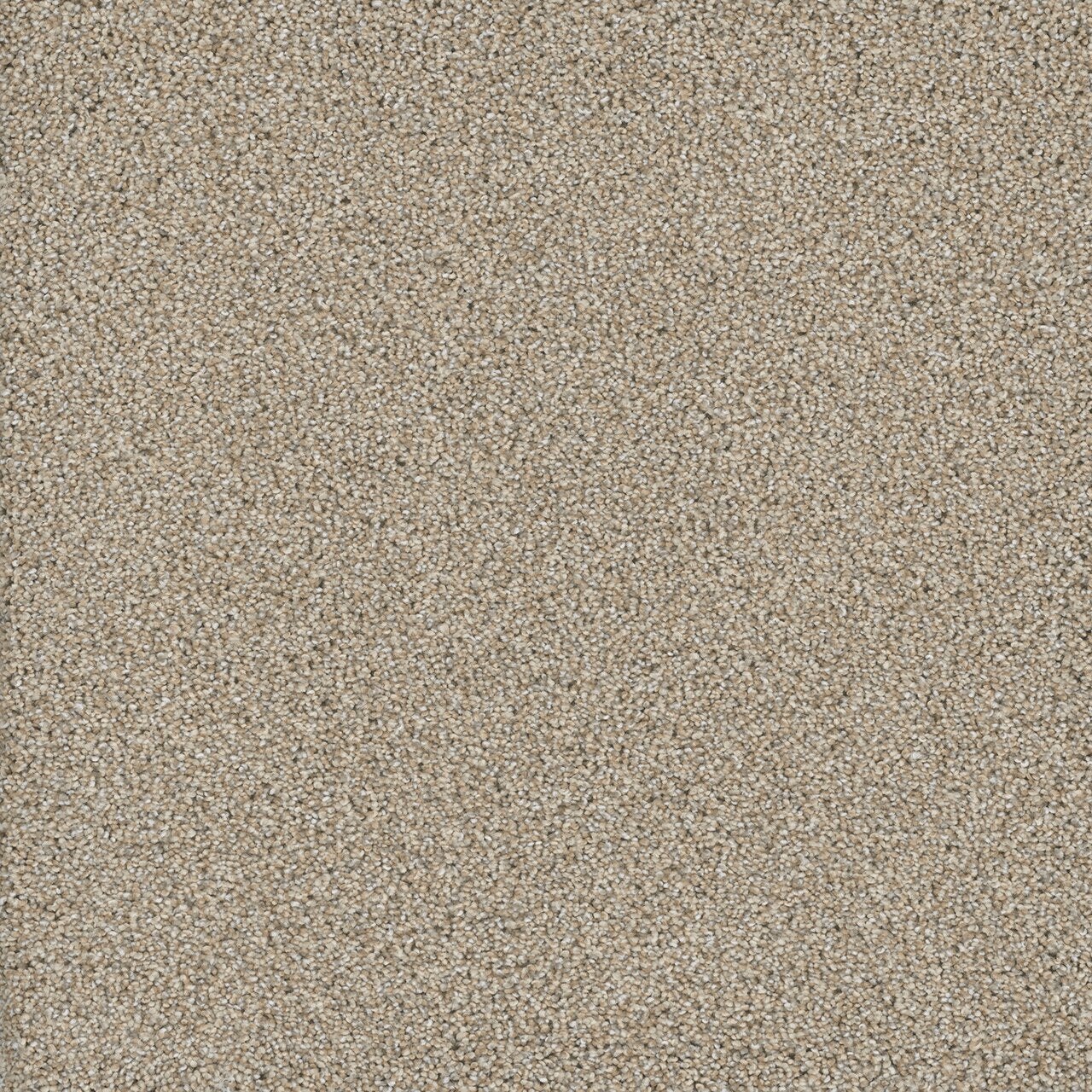 Dream Weaver POSH I