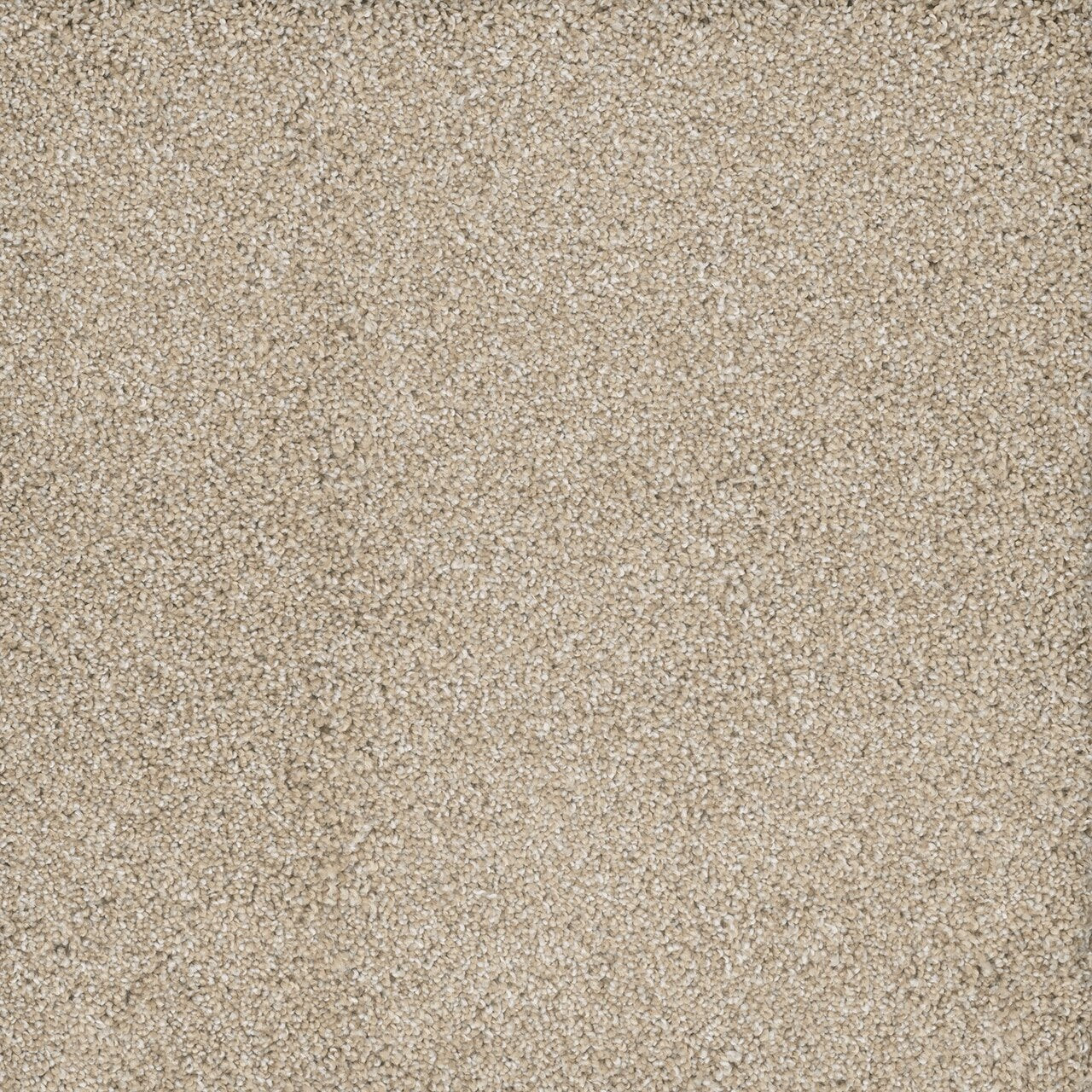 Dream Weaver POSH II