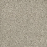 Load image into Gallery viewer, Dream Weaver POSH II
