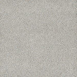 Load image into Gallery viewer, Dwellings NOTTING HILL II
