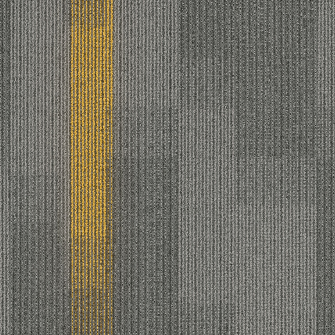 Pentz Commercial AMPLIFY TILE