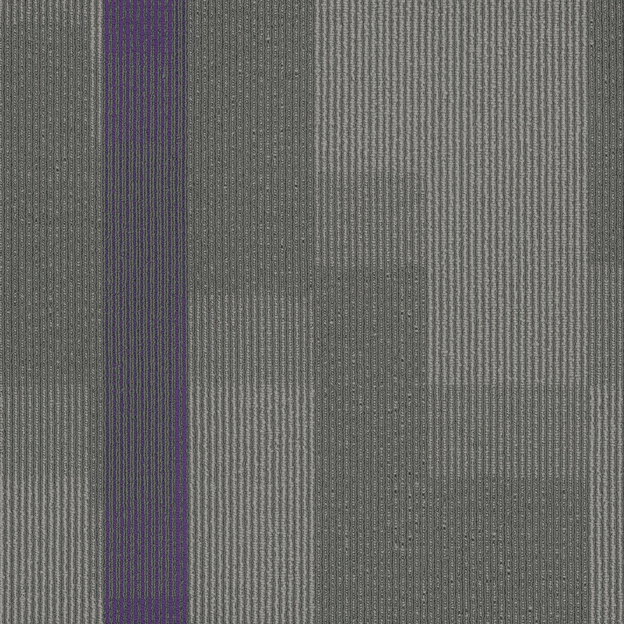 Pentz Commercial AMPLIFY TILE