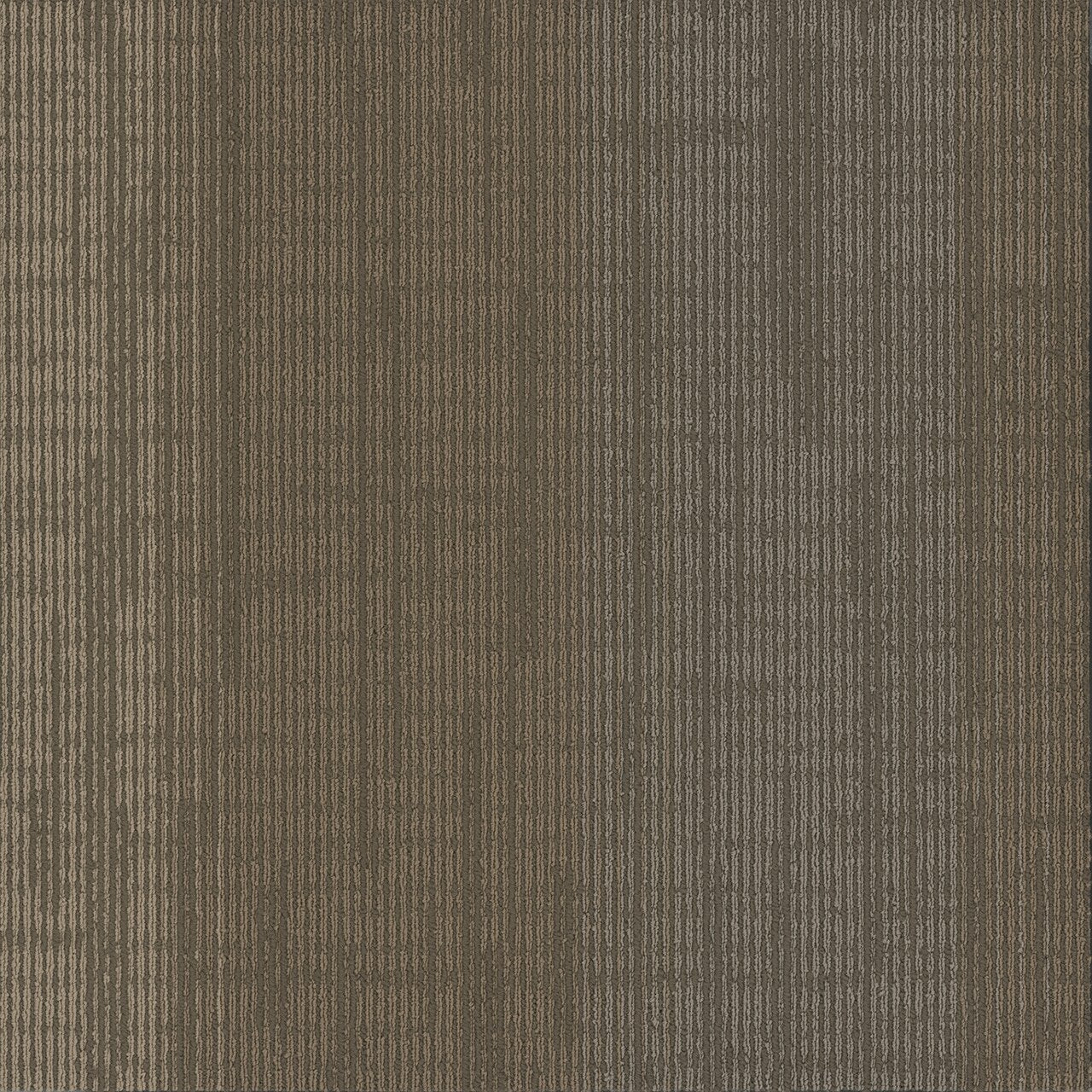 Pentz Commercial ELEMENT TILE