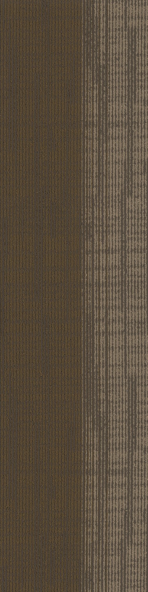 Pentz Commercial ELEMENT PLANK