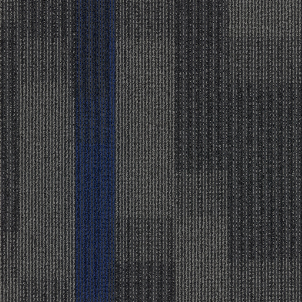 Pentz Commercial MAGNIFY TILE