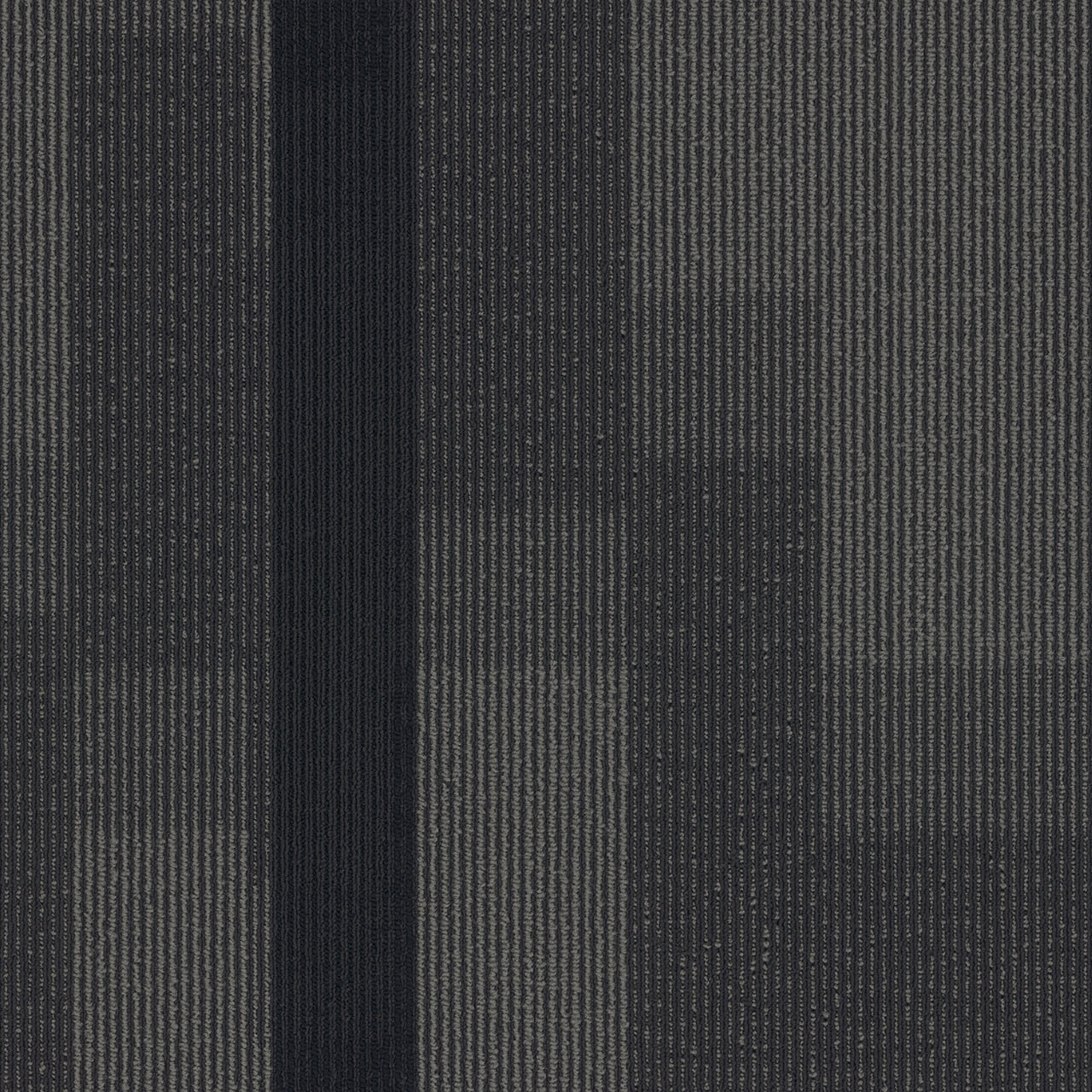 Pentz Commercial MAGNIFY TILE