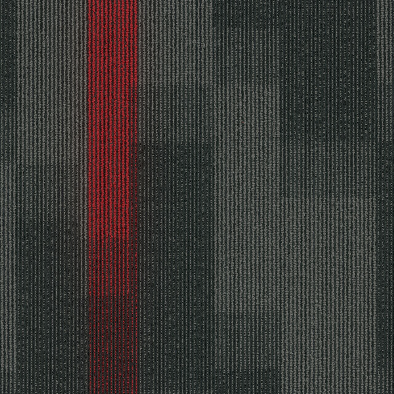 Pentz Commercial MAGNIFY TILE