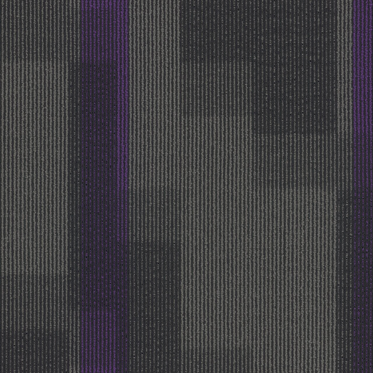 Pentz Commercial MAGNIFY TILE