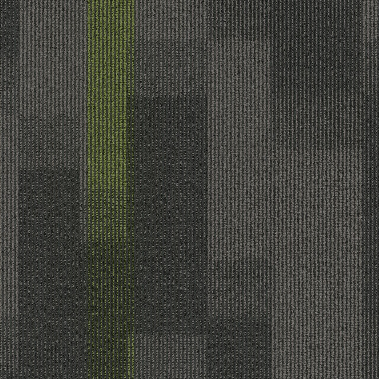Pentz Commercial MAGNIFY TILE