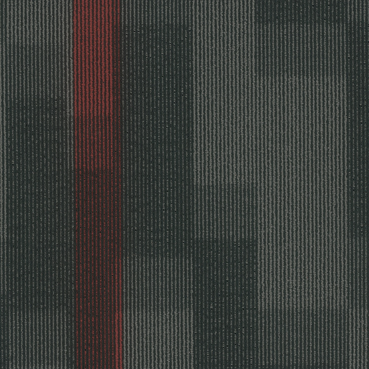 Pentz Commercial MAGNIFY TILE