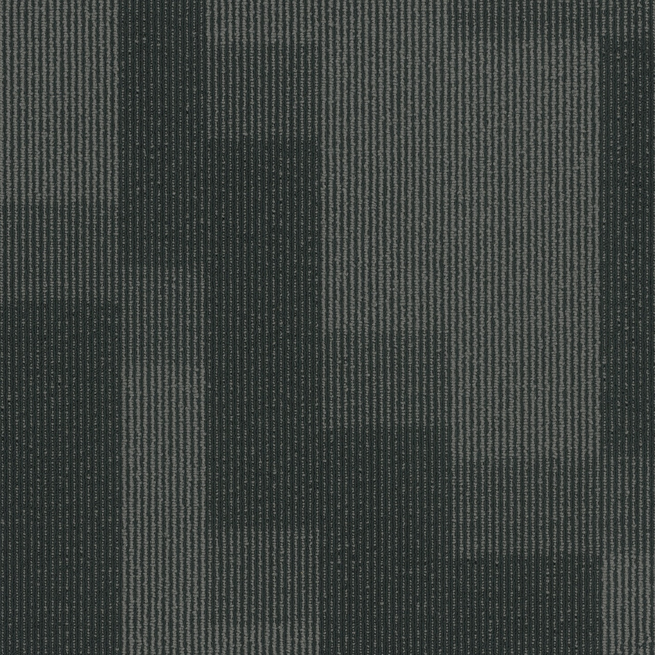 Pentz Commercial MAGNIFY TILE