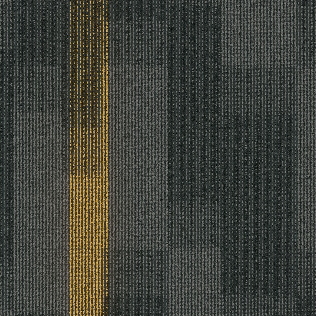 Pentz Commercial MAGNIFY TILE