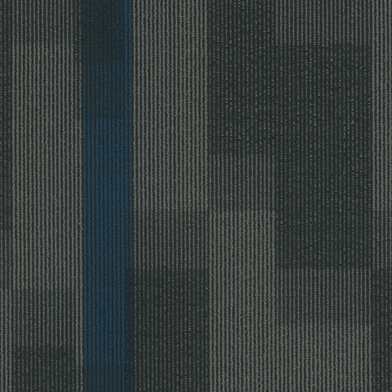 Pentz Commercial MAGNIFY TILE