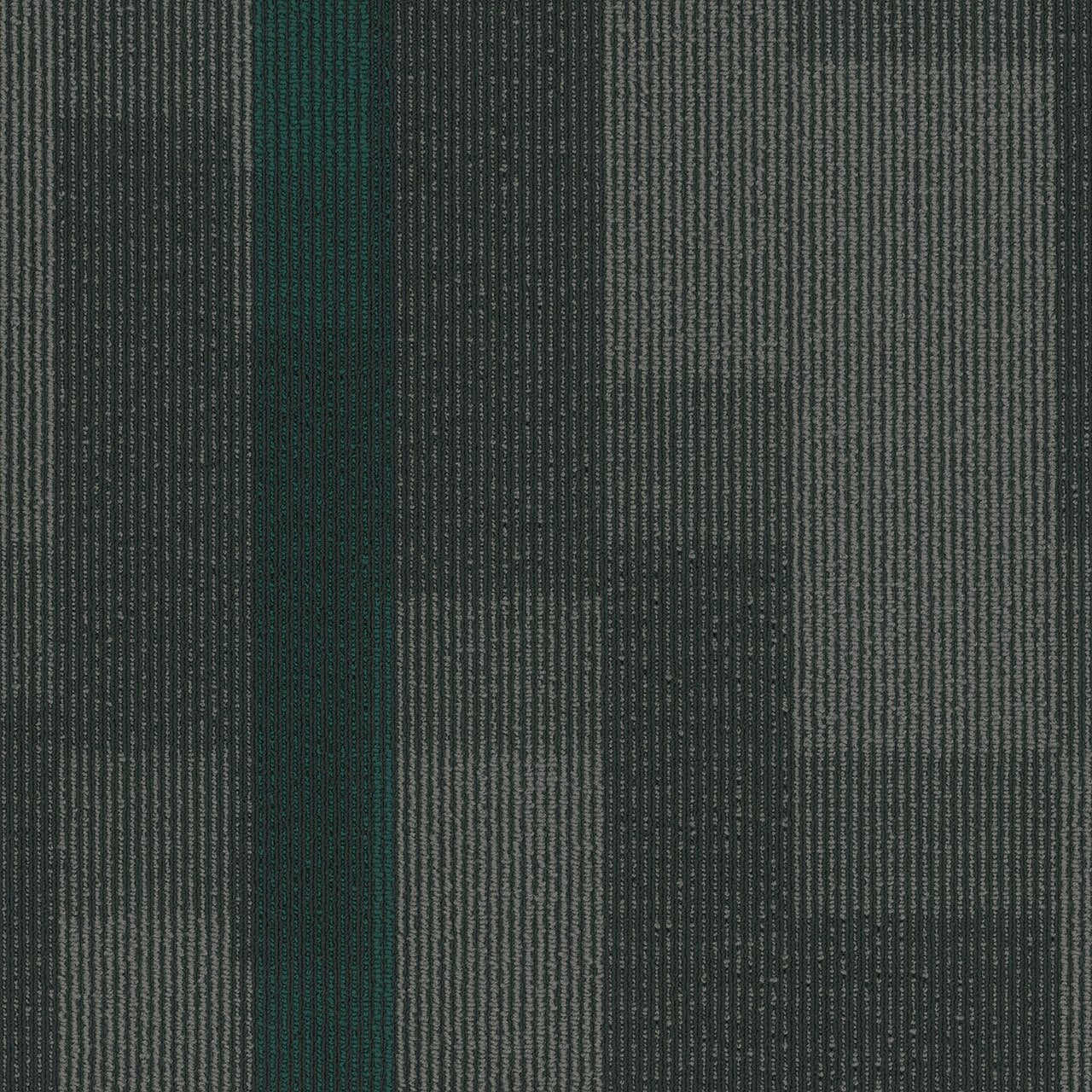 Pentz Commercial MAGNIFY TILE
