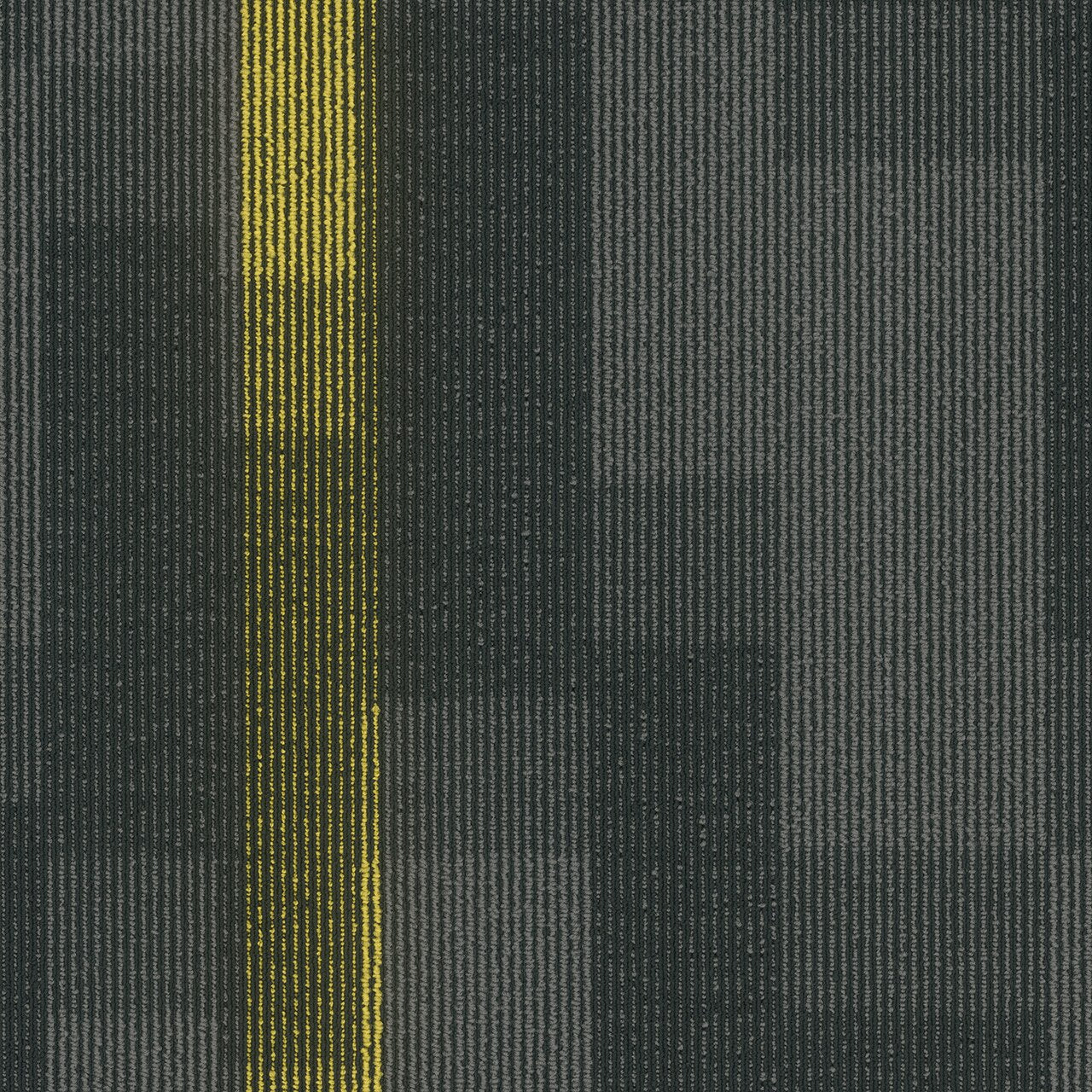 Pentz Commercial MAGNIFY TILE