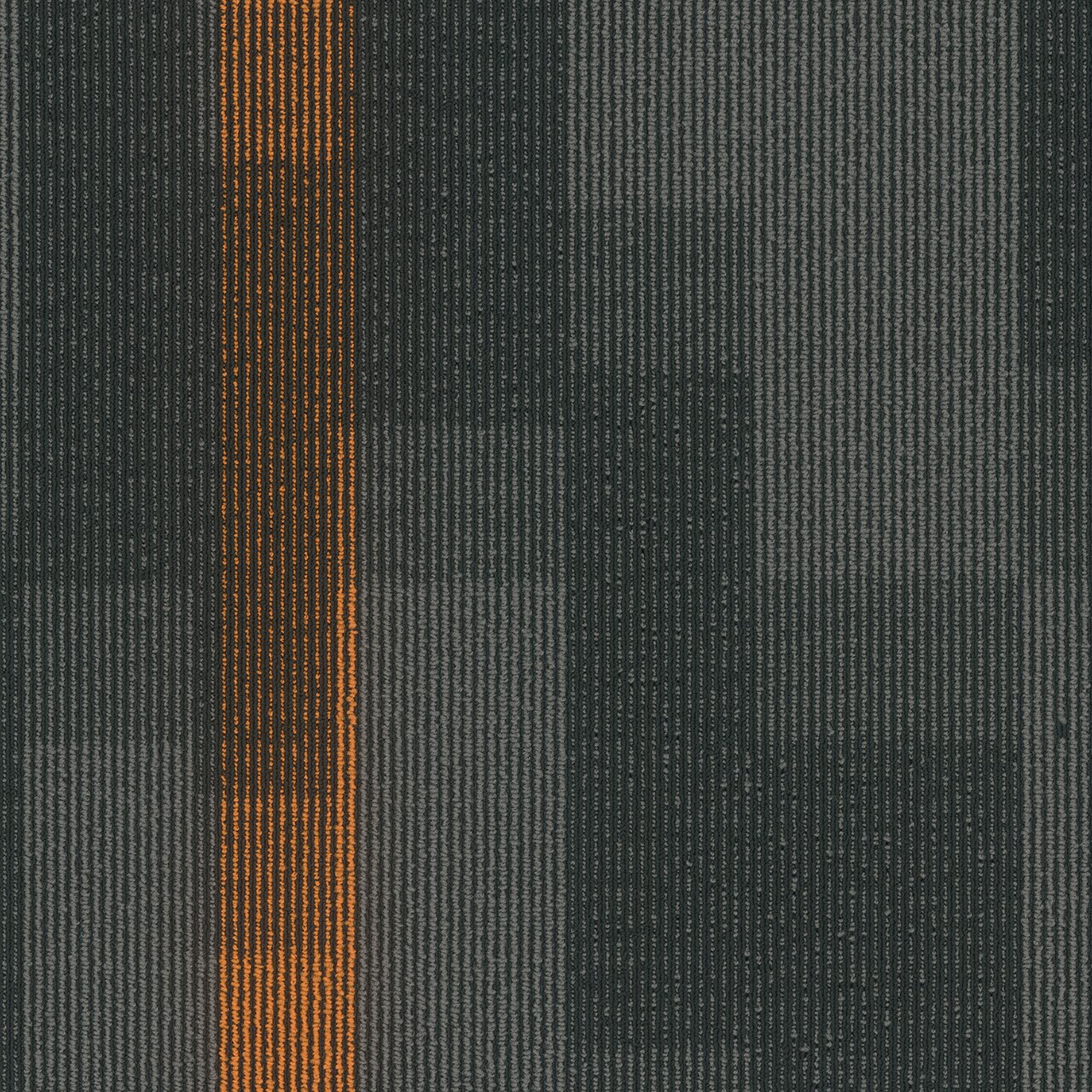 Pentz Commercial MAGNIFY TILE
