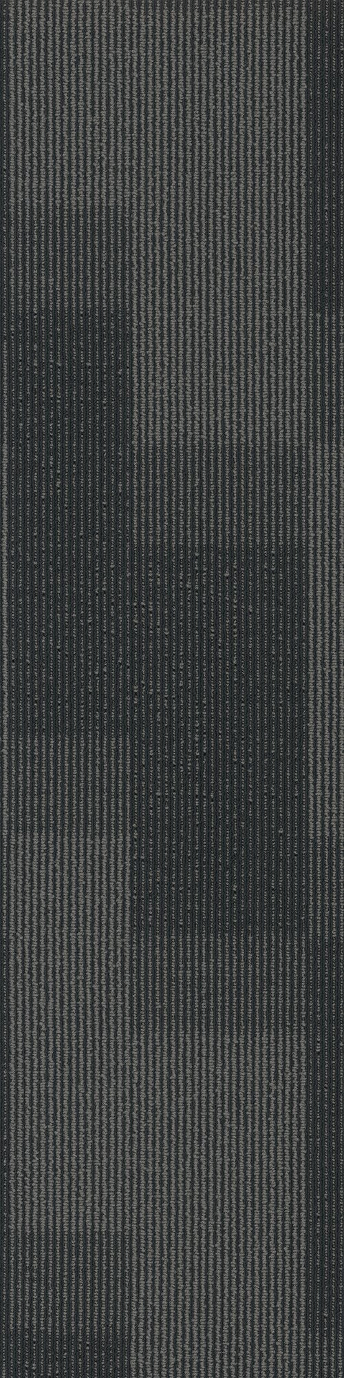 Pentz Commercial MAGNIFY PLANK
