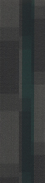 Load image into Gallery viewer, Pentz Commercial MAGNIFY PLANK
