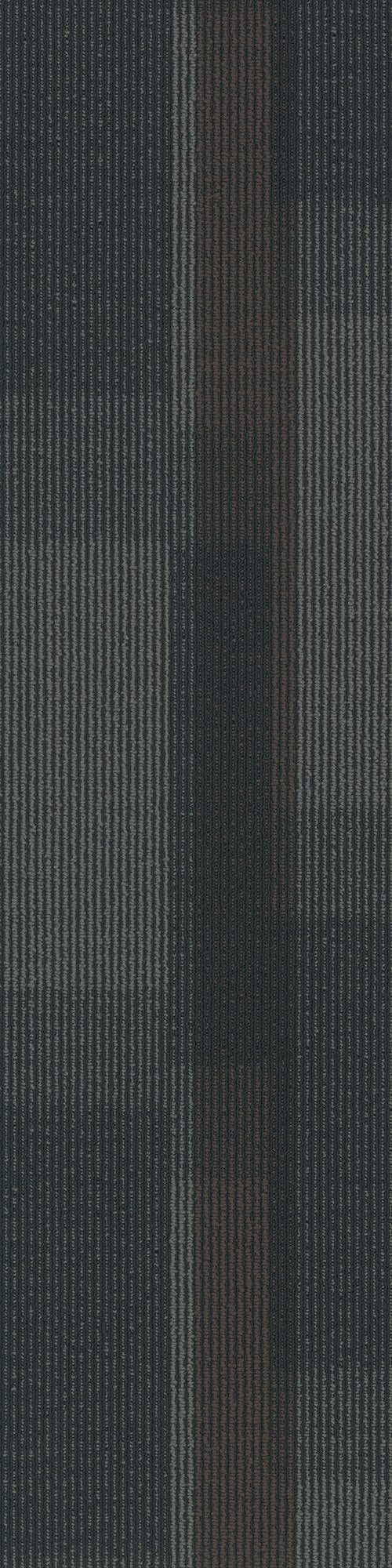 Pentz Commercial MAGNIFY PLANK