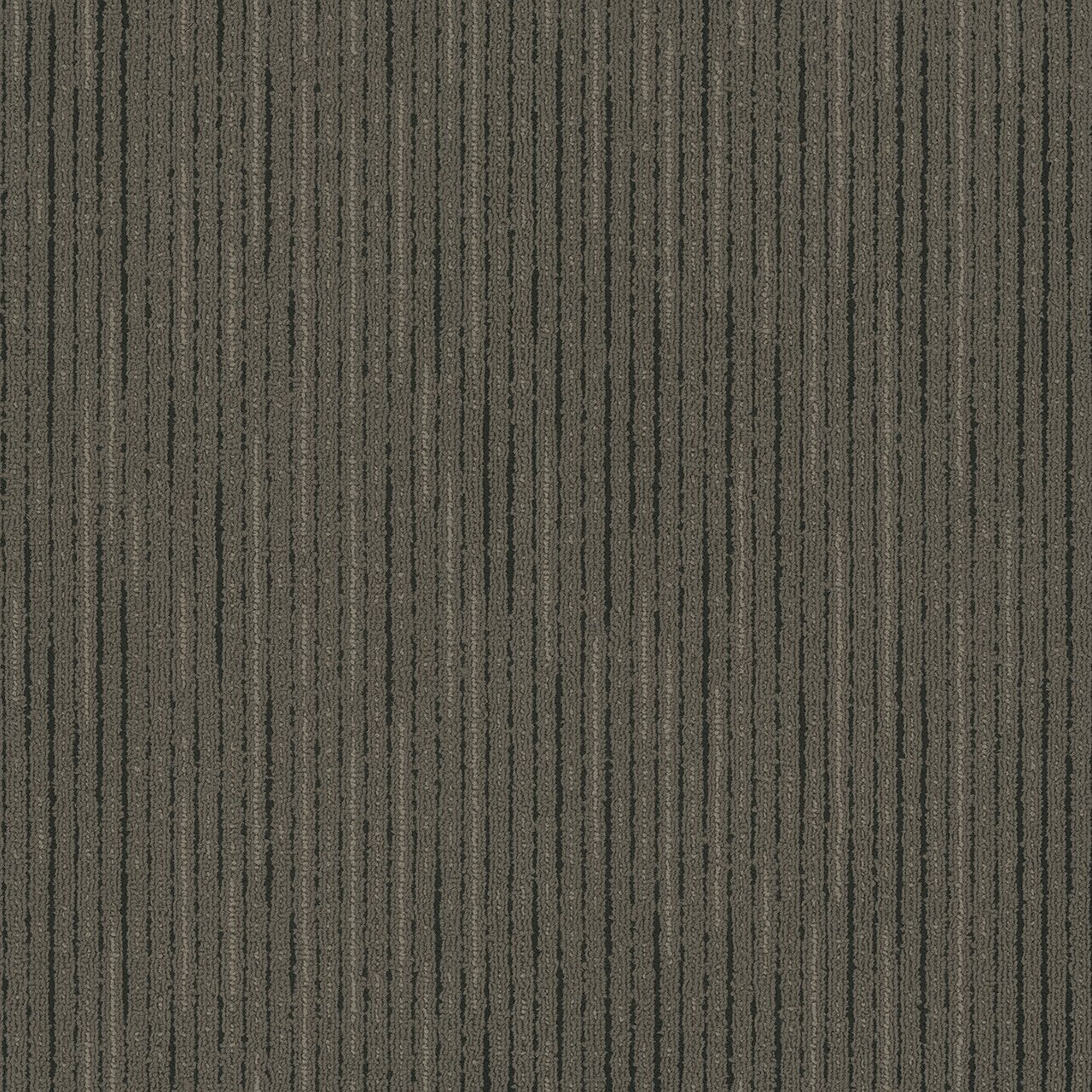 Pentz Commercial VITALITY BROADLOOM